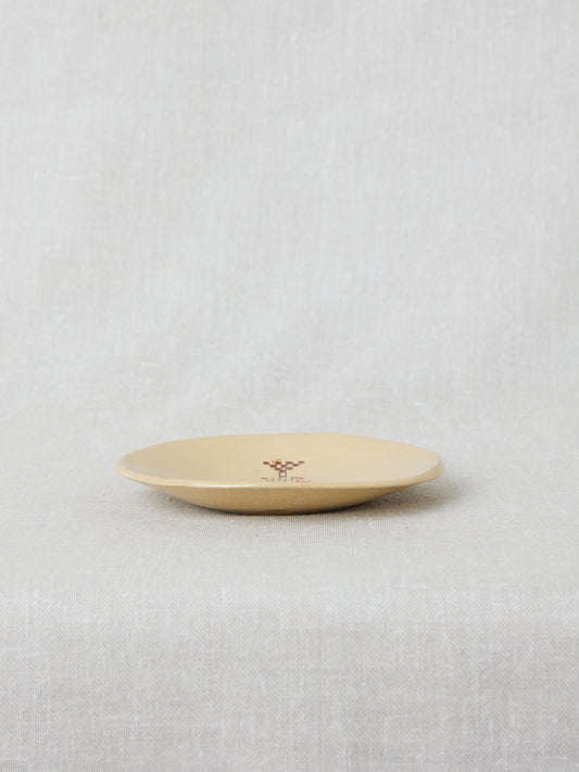 شجرة السرو | Cypress Tree
(Gaza | غزة)