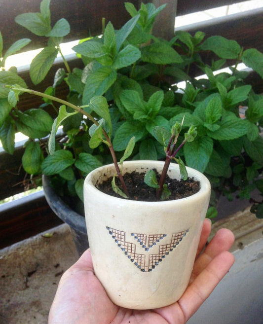 Make Your Own Ceramic Plant Pot