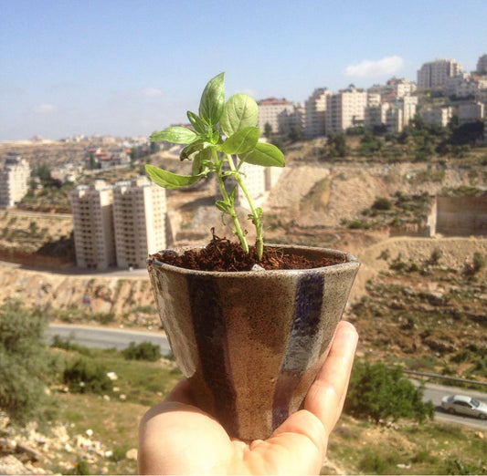 Make Your Own Ceramic Plant Pot